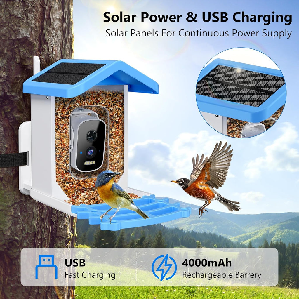 Solar Smart Bird Feeder with Camera — Wireless Wildlife Watching Hub - NebulTool