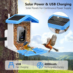 Solar Smart Bird Feeder with Camera — Wireless Wildlife Watching Hub - NebulTool