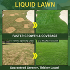 Liquid Lawn Seeding Spray System — Fast, Easy Green Grass Growth - NebulTool