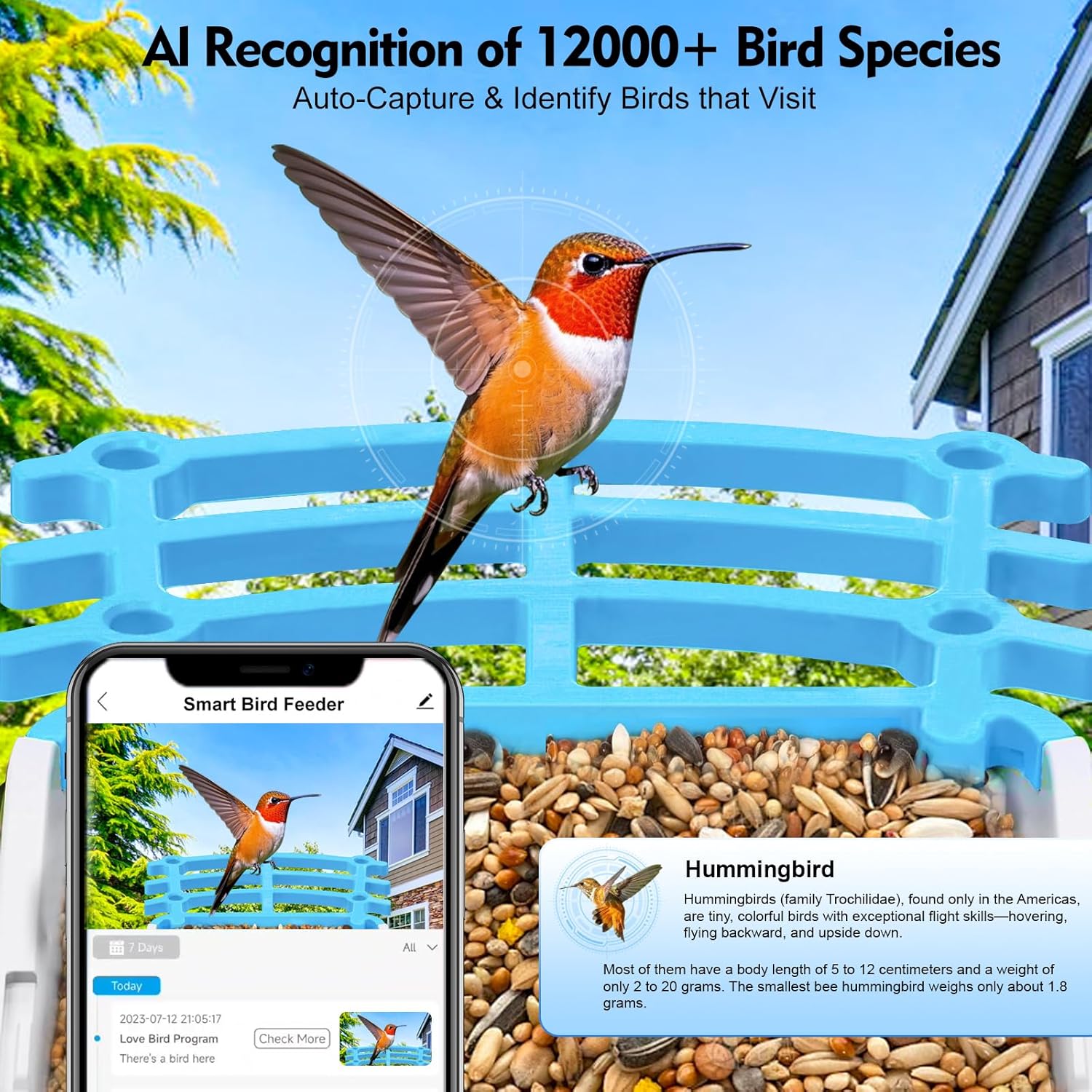 Solar Smart Bird Feeder with Camera — Wireless Wildlife Watching Hub - NebulTool