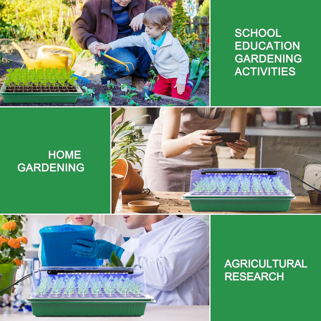 Seed Starter Tray with Timed Grow Light-2-Pack 80-Cell Indoor Seedling Starter Kit with Humidity Domes