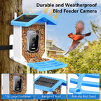 Solar Smart Bird Feeder with Camera — Wireless Wildlife Watching Hub - NebulTool