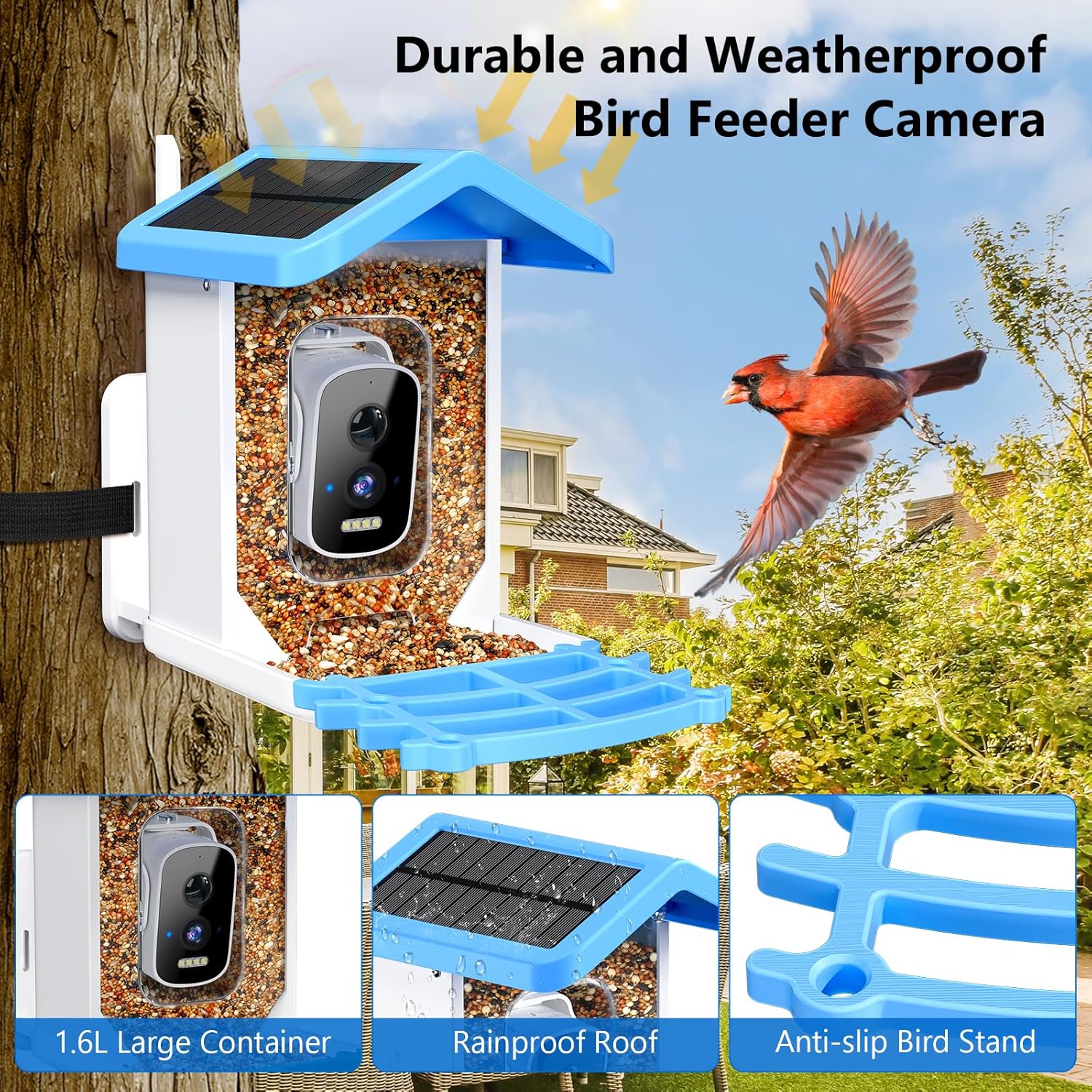 Solar Smart Bird Feeder with Camera — Wireless Wildlife Watching Hub - NebulTool