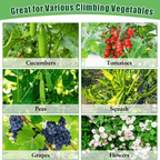 U-Shaped Garden Cucumber Trellis - Heavy-Duty Climbing Plant Support for Vegetables, Flowers & Vines