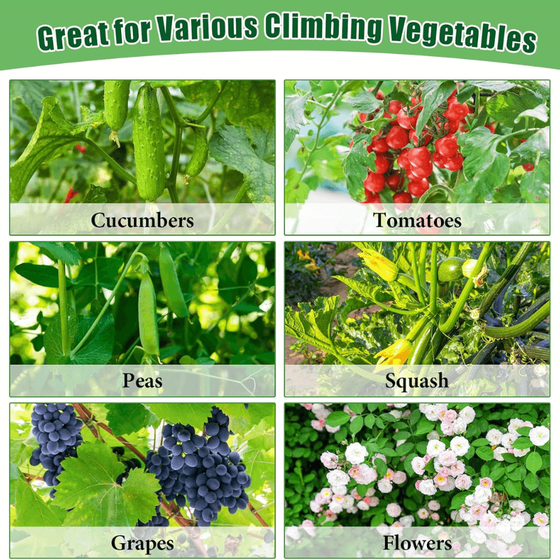 U-Shaped Garden Cucumber Trellis - Heavy-Duty Climbing Plant Support for Vegetables, Flowers & Vines