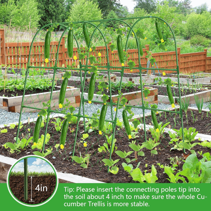 U-Shaped Garden Cucumber Trellis - Heavy-Duty Climbing Plant Support for Vegetables, Flowers & Vines