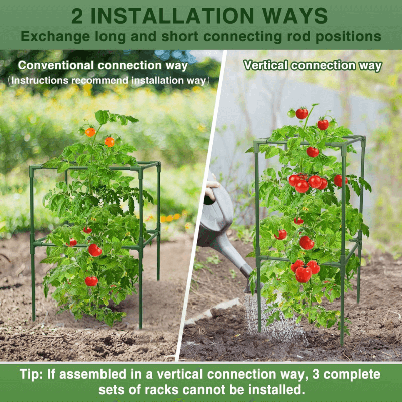 Heavy-Duty Steel Plant Support for Tomatoes, Vegetables & Climbing Plants