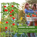 Heavy-Duty Steel Plant Support for Tomatoes, Vegetables & Climbing Plants
