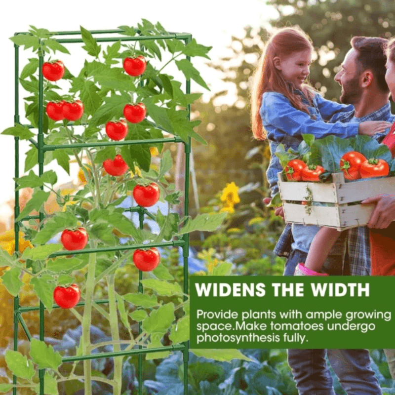 Heavy-Duty Steel Plant Support for Tomatoes, Vegetables & Climbing Plants