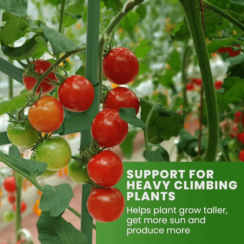 Heavy-Duty Steel Plant Support for Tomatoes, Vegetables & Climbing Plants